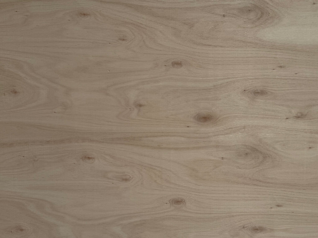 Eucalyptus B/C Plywood