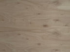 Eucalyptus B/C Plywood