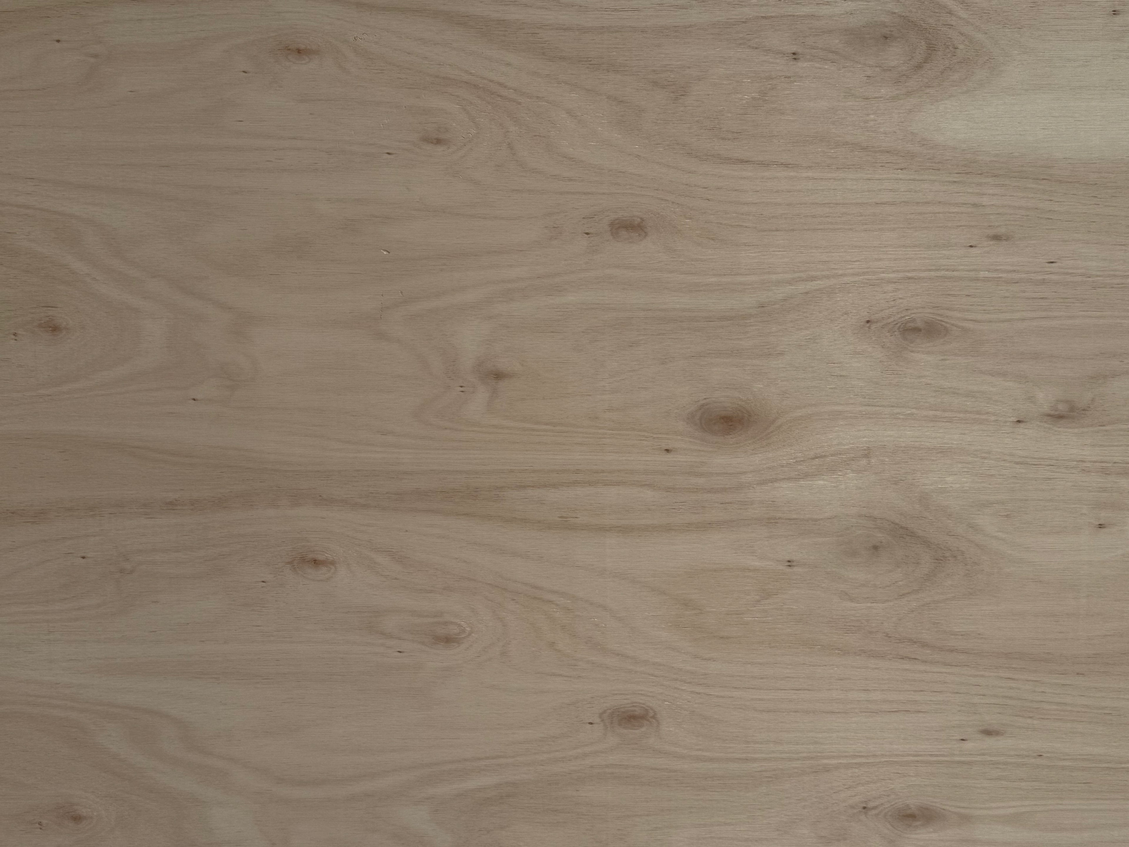 Eucalyptus B/C Plywood