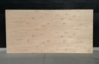 Eucalyptus B/C Plywood