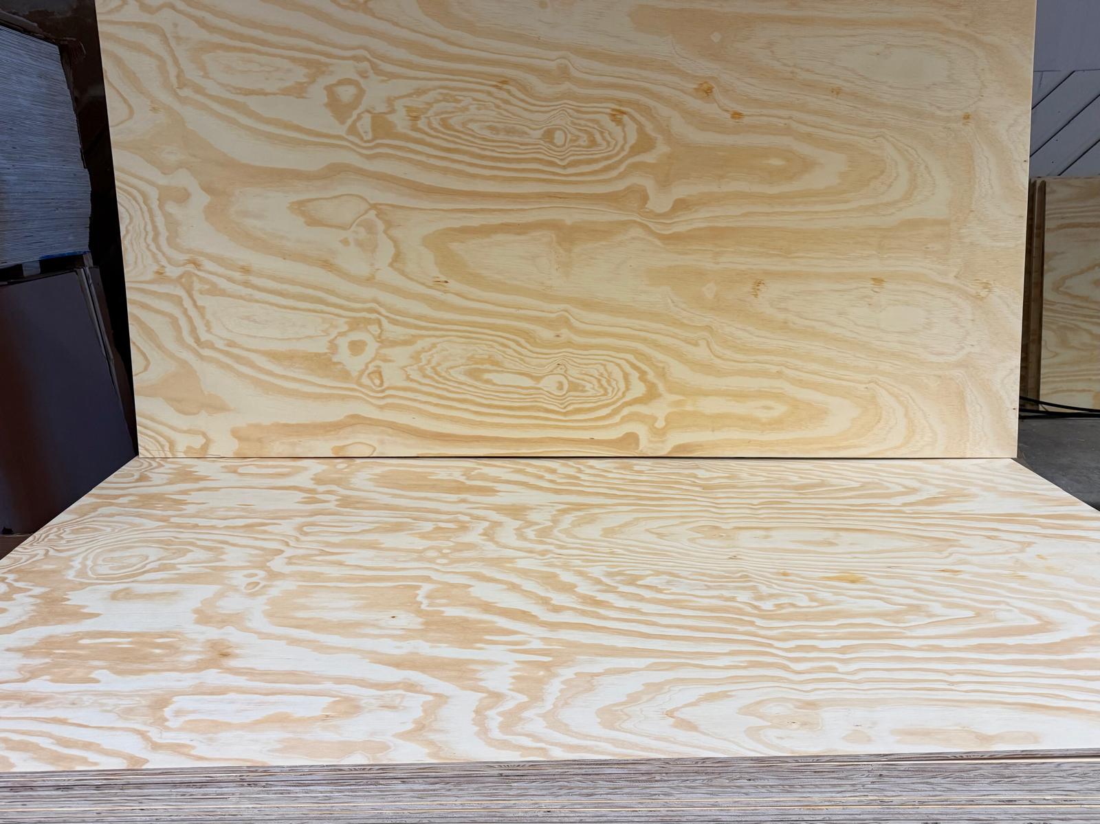 Pinus Taeda Plywood B/C